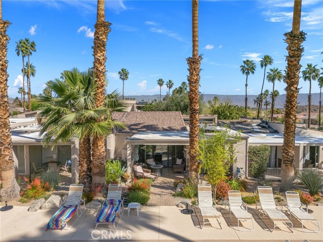 Image 1 for 73575 Encelia