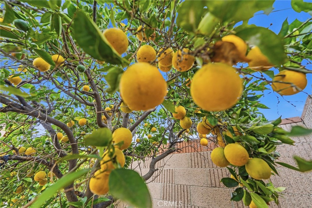 https://media.crmls.org/medias/2861570f-9510-4948-8e4c-0712aac5111a.jpg?preset=X-Large