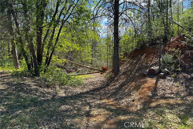 Detail Gallery Image 11 of 29 For 21138 Big Oak Ln, Lakehead,  CA 96051 - – Beds | – Baths