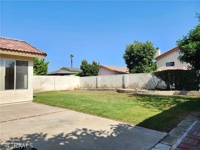 Large Backyard