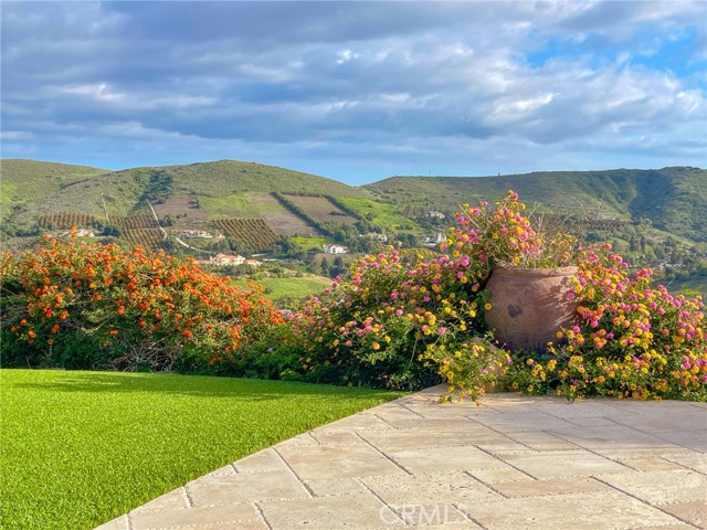 Spring in bloom