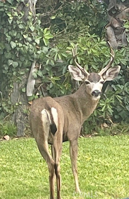 MLS #OC25120238 img 3