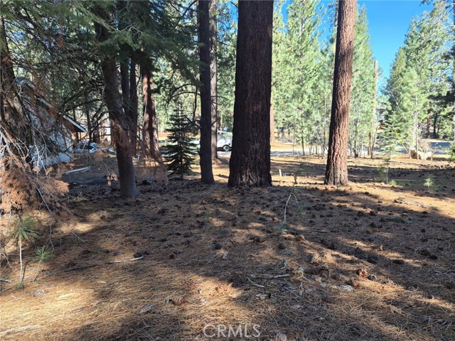 Detail Gallery Image 5 of 19 For 1662 Maiden Hair Ct, South Lake Tahoe,  CA 96150 - – Beds | – Baths