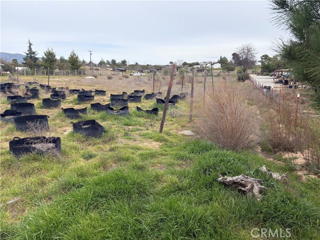 Detail Gallery Image 20 of 41 For 1 Boulder Hill Rd, Anza,  CA 92539 - – Beds | – Baths