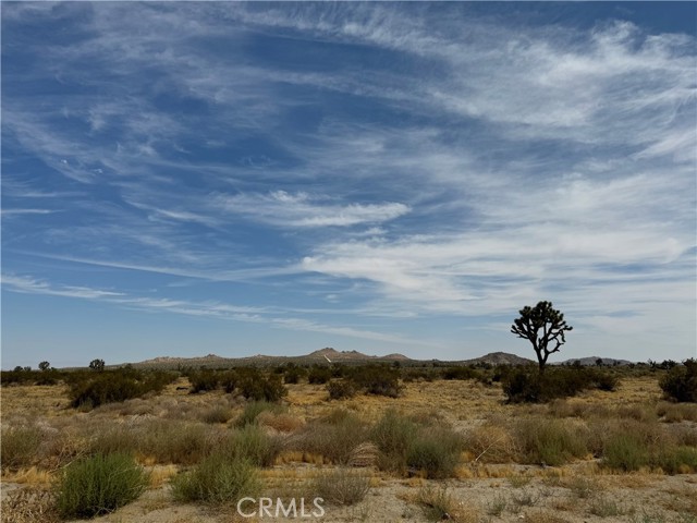 Detail Gallery Image 6 of 9 For 0 E Avenue Q, Palmdale,  CA 93591 - – Beds | – Baths