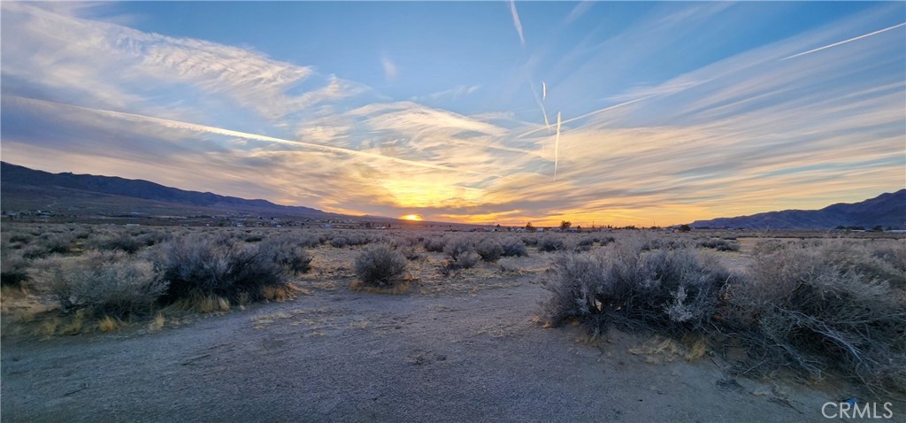 MLS #IV25049226 img 14