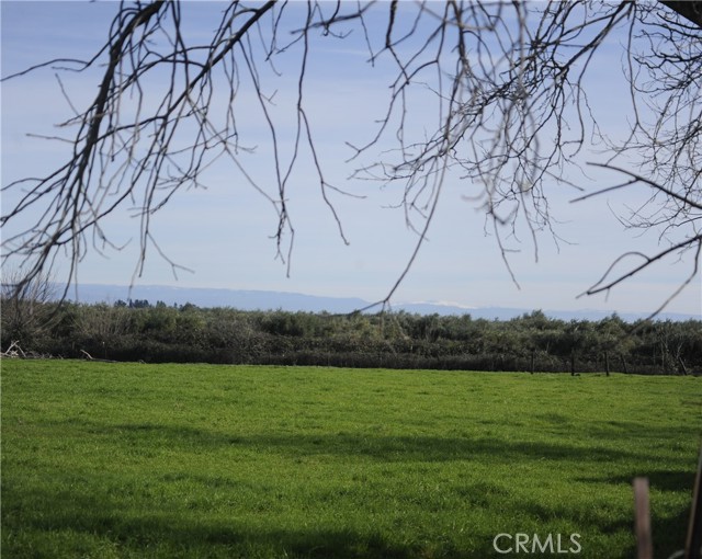 Detail Gallery Image 16 of 66 For 6156 County Road 14, Orland,  CA 95963 - 2 Beds | 1 Baths