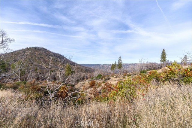 2261 Lumpkin Road, Oroville, California 95966, ,Land,For Sale,2261 Lumpkin Road,CRSN23227177