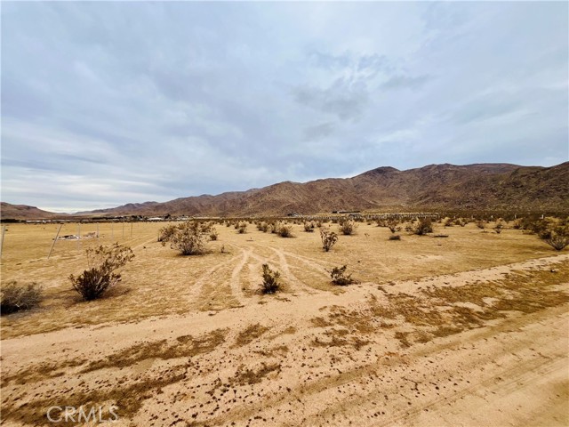 Front Image Thumbnail for CRTR25267483