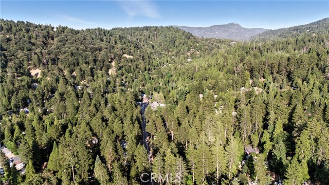 373 Redwood Lane, Crestline CA: https://media.crmls.org/medias/288629d7-adcf-46b4-957b-851229825f8c.jpg