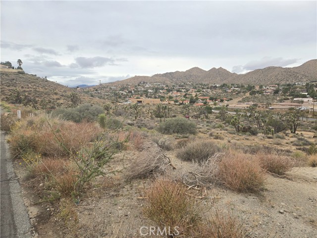 Detail Gallery Image 2 of 5 For 1234 Onaga, Yucca Valley,  CA 92284 - – Beds | – Baths