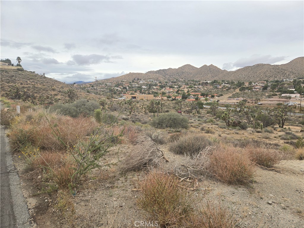 MLS #JT25260785 image #1