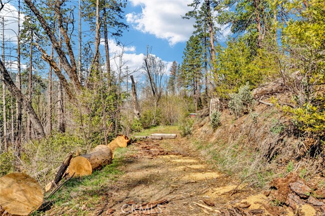 Detail Gallery Image 12 of 16 For 12061 Gifford Springs Rd, Cobb,  CA 95426 - – Beds | – Baths