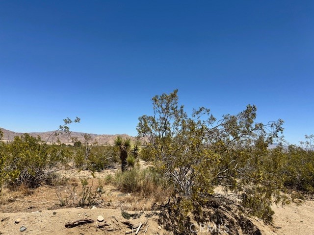 Detail Gallery Image 6 of 8 For 0 Miller Ranch Rd, Lucerne Valley,  CA 92356 - – Beds | – Baths
