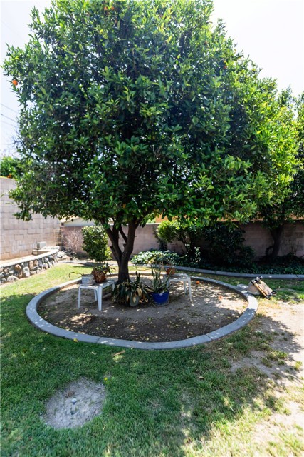 3915 Dwight Way, San Bernardino CA: https://media.crmls.org/medias/289a74bf-b26a-4755-9eb5-4512f3bd5736.jpg