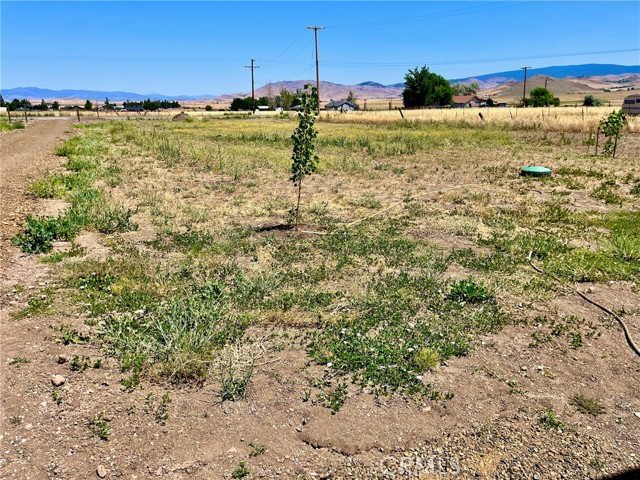 Detail Gallery Image 23 of 36 For 10314 Swigart Rd, Montague,  CA 96064 - 2 Beds | 3/1 Baths