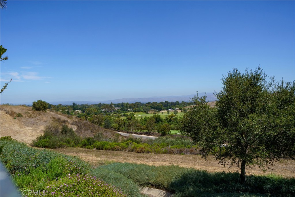 MLS #OC26161129 image #57