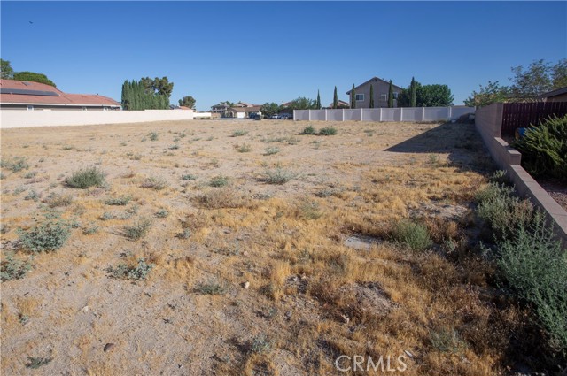 Front Image Thumbnail for CRIG26134186
