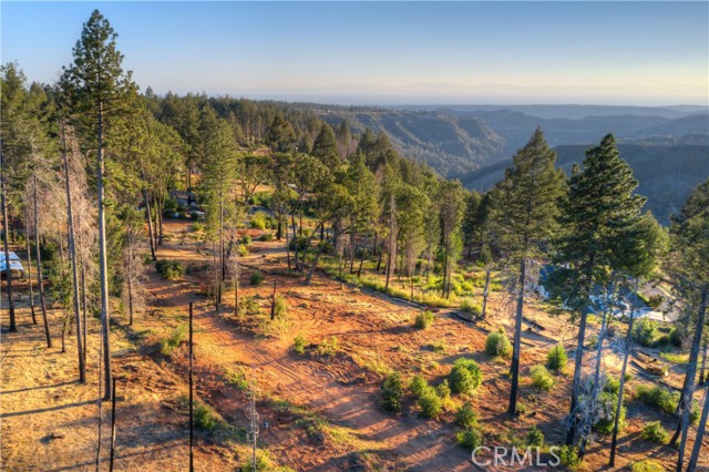 Front Image Thumbnail for CRSN26105693