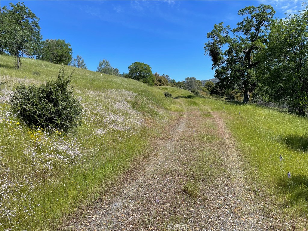 MLS #MP25096218 image #22