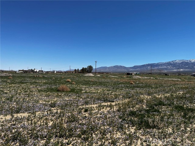 Detail Gallery Image 1 of 6 For 800 Sunset Ave, Lucerne Valley,  CA 92356 - – Beds | – Baths