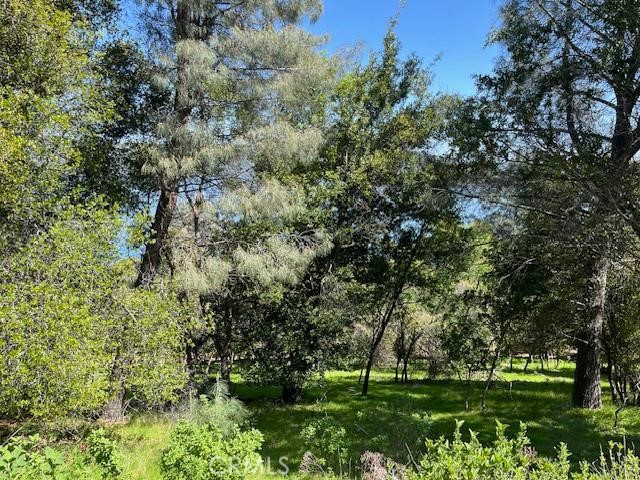 Detail Gallery Image 9 of 9 For 8444 Soda Bay Rd, Kelseyville,  CA 95451 - – Beds | – Baths