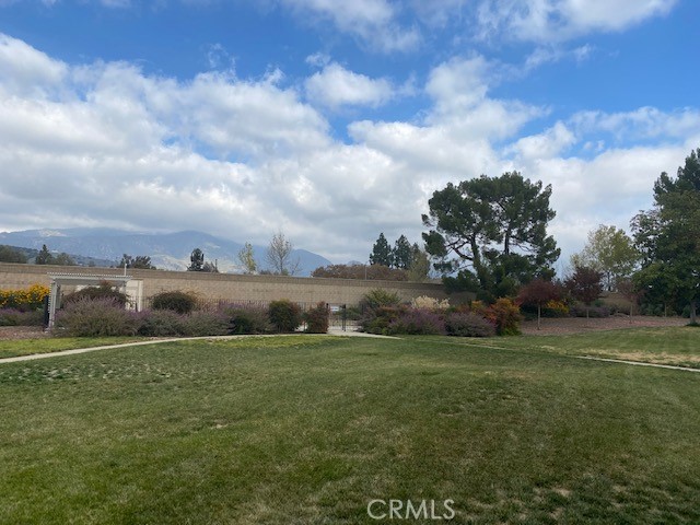 View from the back of the home and patio - beautiful!