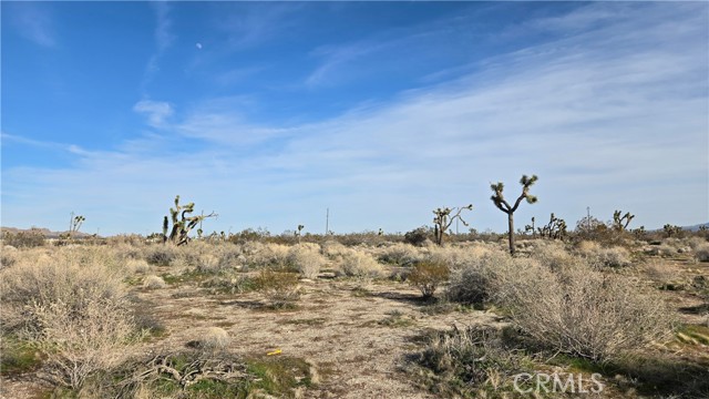 Detail Gallery Image 7 of 21 For 0 115th St East S/O Ave S, Littlerock,  CA 93543 - – Beds | – Baths