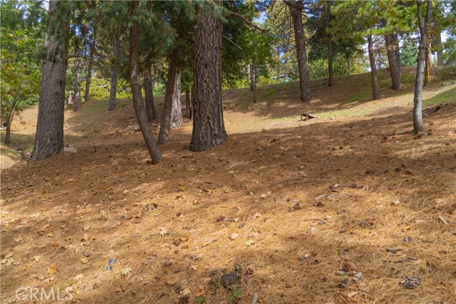 0 Circle View Drive, Running Springs, California 92382, ,Land,For Sale,0 Circle View Drive,CRRW23191615