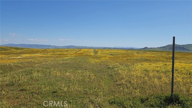 Looking south from Belmont Trail along Camanche Rd. The NE corner of the parcel is ~660 ft south of this post.