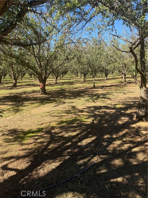 Detail Gallery Image 16 of 19 For 0 Rawson Road, Gerber,  CA 96035 - – Beds | – Baths