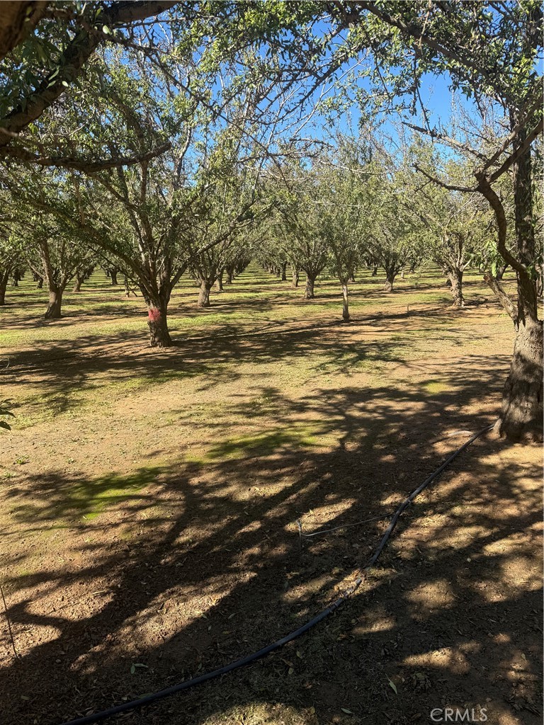 MLS #SN25233384 image #15