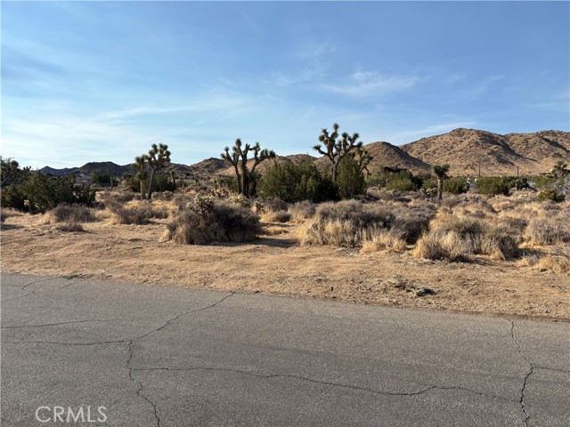 Detail Gallery Image 1 of 4 For 0 San Andreas Rd, Yucca Valley,  CA 92284 - – Beds | – Baths