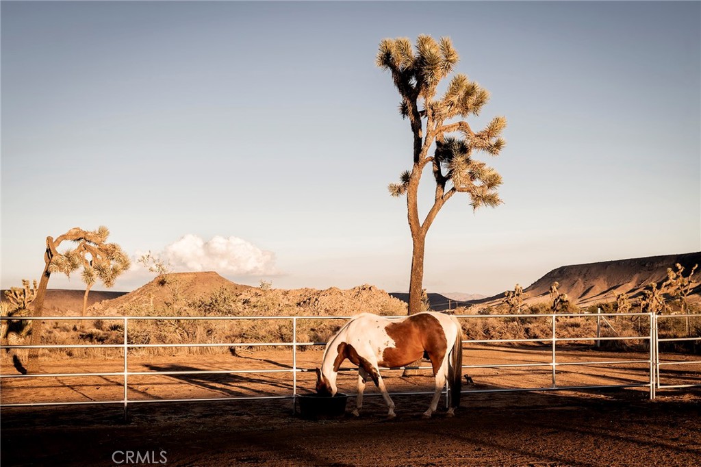 MLS #JT25252986 image #50