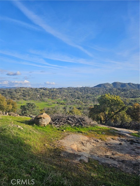 Detail Gallery Image 6 of 14 For 0 40ac Sierra Oaks Ln, Friant,  CA 93626 - – Beds | – Baths