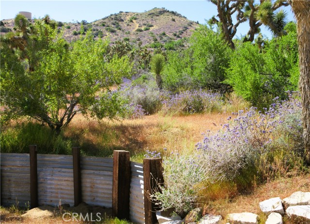 Detail Gallery Image 56 of 57 For 8259 Eneva St, Yucca Valley,  CA 92284 - 3 Beds | 3 Baths