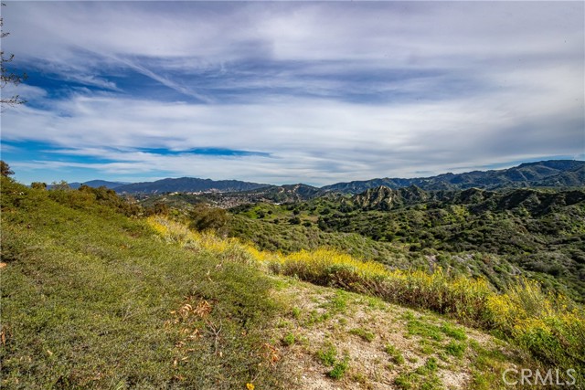 Image 8 of 31 For 24910 Chicory Court