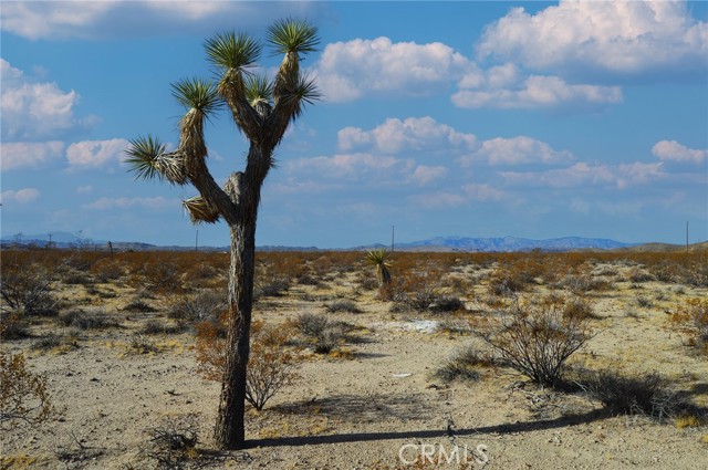 Detail Gallery Image 7 of 10 For 6130 La Brisa Dr, Joshua Tree,  CA 92252 - – Beds | – Baths