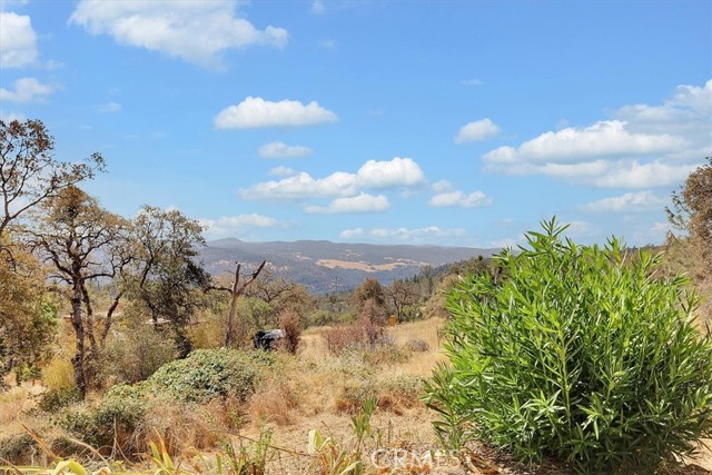 Detail Gallery Image 61 of 69 For 9018 Winding Way, Oregon House,  CA 95962 - – Beds | – Baths