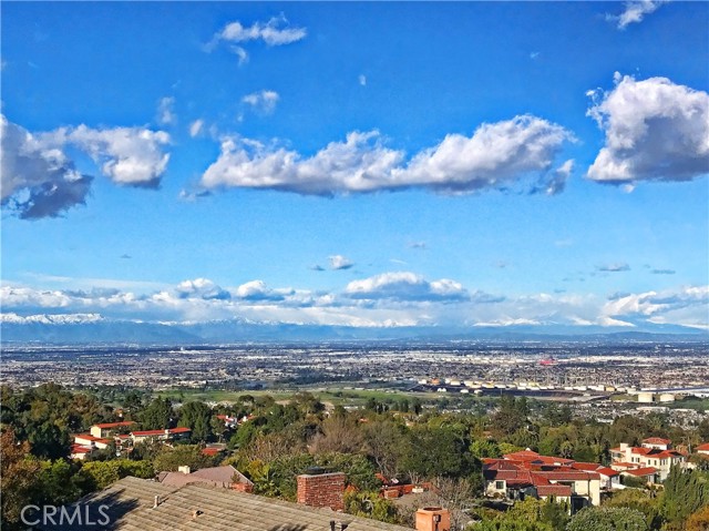 Backyard view