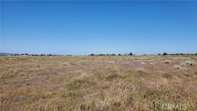 Detail Gallery Image 15 of 24 For 0 263rd St West North of Ave C13, –,  CA 93536 - – Beds | – Baths