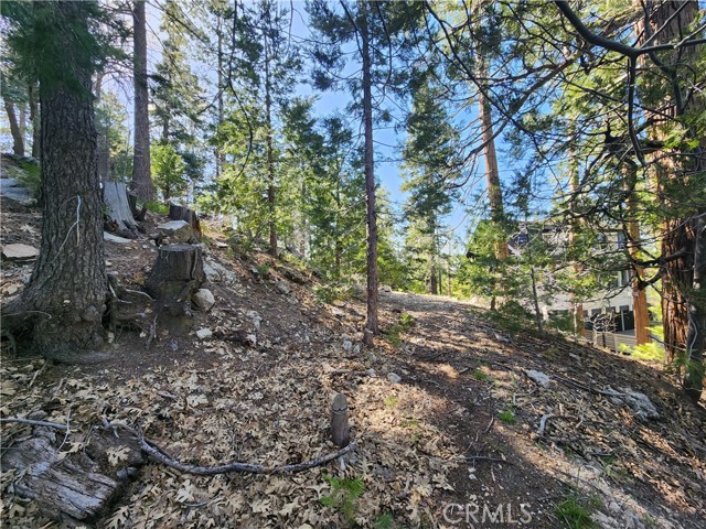 Detail Gallery Image 19 of 20 For 0 Pyramid Dr, Lake Arrowhead,  CA 92352 - – Beds | – Baths