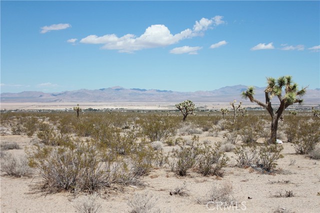 769 Meridian Road, Lucerne Valley CA: https://media.crmls.org/medias/28ee44b9-d614-4f53-be99-edcae606d540.jpg