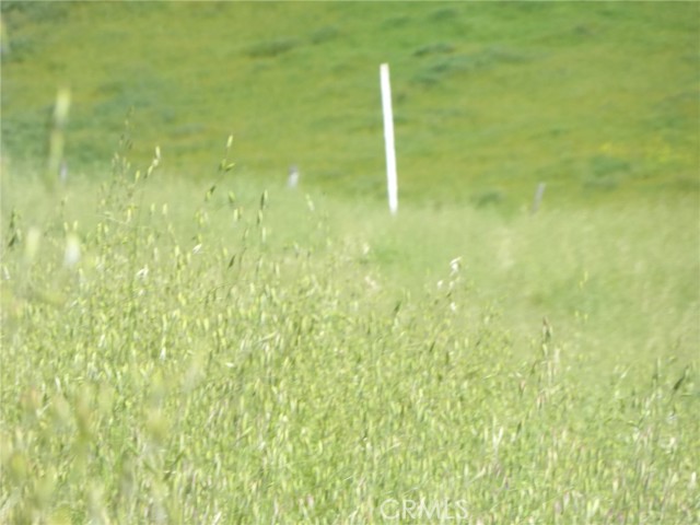 Detail Gallery Image 8 of 40 For 0 Douglas Rd. (Lot 43), San Miguel,  CA 93451 - – Beds | – Baths