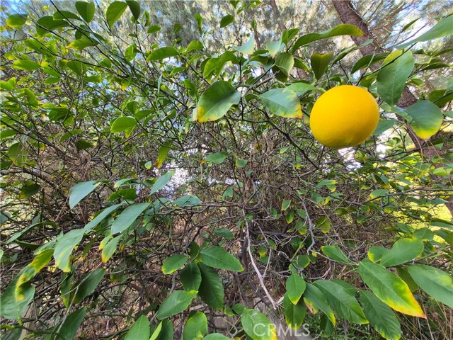 Detail Gallery Image 42 of 66 For 4040 Piedmont Dr #356,  Highland,  CA 92346 - 2 Beds | 2 Baths