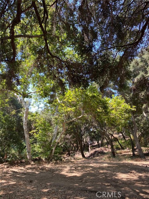0 El Calamar Rd, Temecula CA: https://media.crmls.org/medias/28f72775-85d3-44d2-abc3-b27b76d9fc9f.jpg