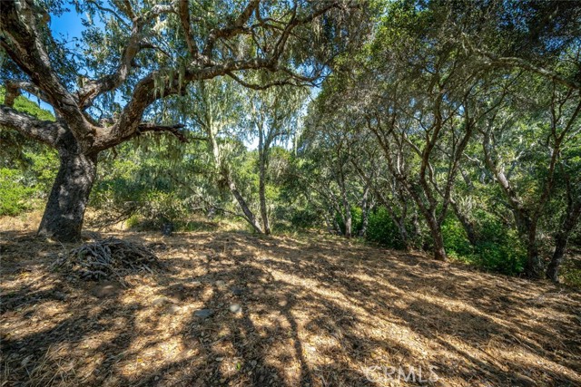 Detail Gallery Image 72 of 75 For 1300 Calle Cordoniz Road, Los Osos,  CA 93402 - 3 Beds | 2 Baths