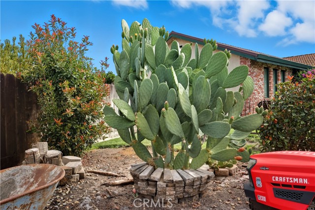 Detail Gallery Image 43 of 48 For 6201 Epps, Winton,  CA 95388 - 3 Beds | 2 Baths