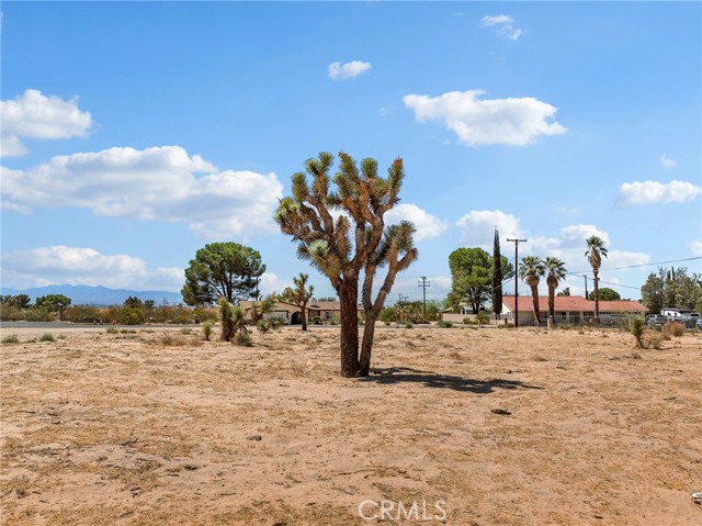 0 Modoc Road, Apple Valley CA: https://media.crmls.org/medias/28fbc3c2-b5ac-460c-88f0-4f82d5233a9a.jpg