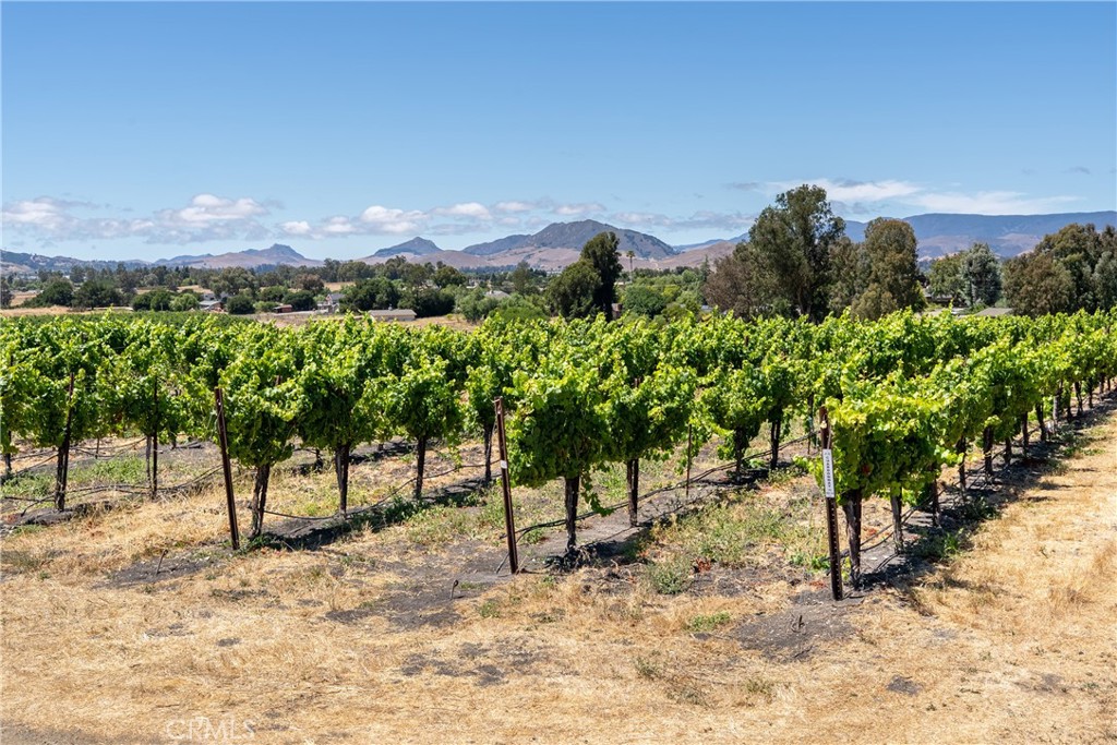 MLS #NS25194884 image #27